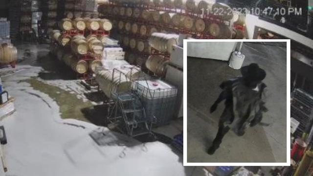Woodinville wine vandal arrested; accused of spilling $600K worth of wine, was former employee