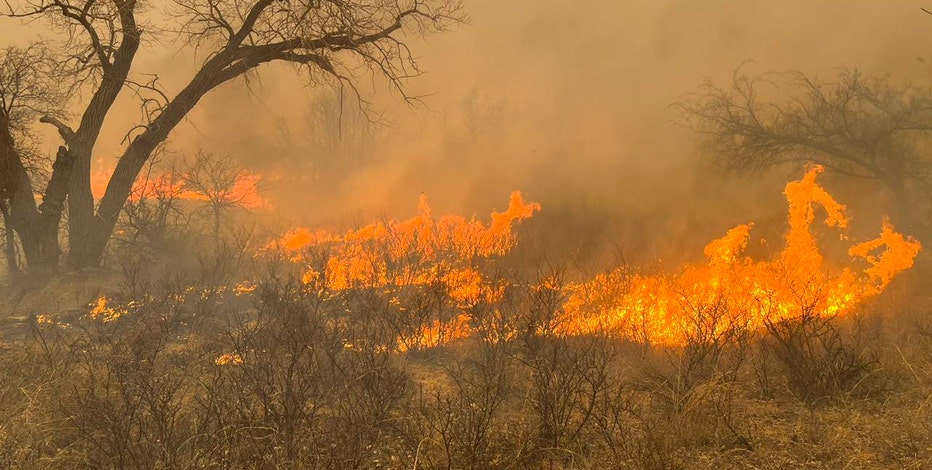 Your guide to WA wildfire evacuation levels