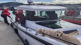Vessel disabled near Decatur Island, 6 people and 2 dogs rescued
