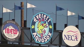 Everett contemplates bulldozing businesses to build new ballpark