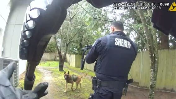 VIDEO: Attempted murder suspect arrested after running into woods