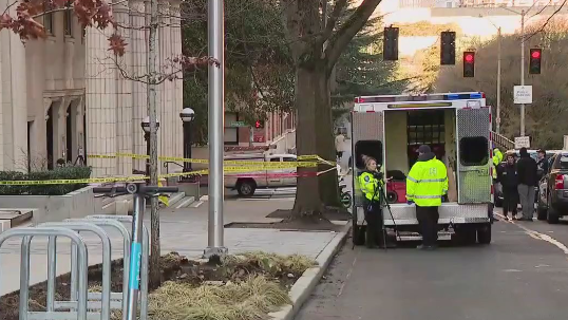 Seattle ax murder: 25-year-old arrested in brutal killing of homeless man