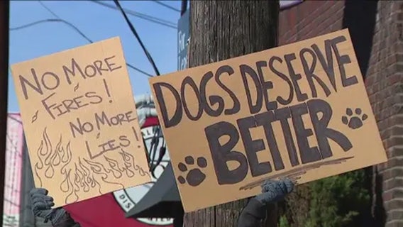 King County plans to provide additional pet business' information to public following recent deadly incidents