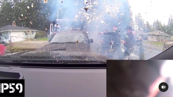 VIDEO: Chaotic police chase cuts through Lacey walking trail, ends in arrest