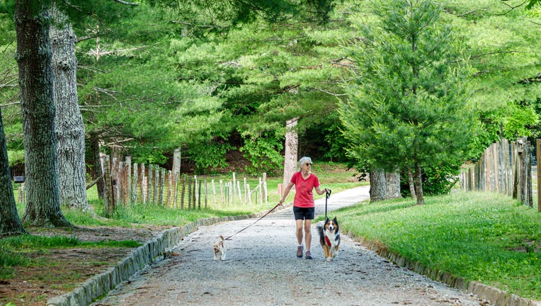 For women over 60, here's the number of daily steps needed to protect heart  health