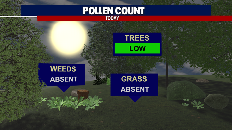 Pollen counts in Western Washington as of Friday.