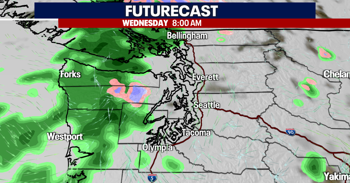 Seattle Weather: Light showers return Wednesday | FOX 13 Seattle