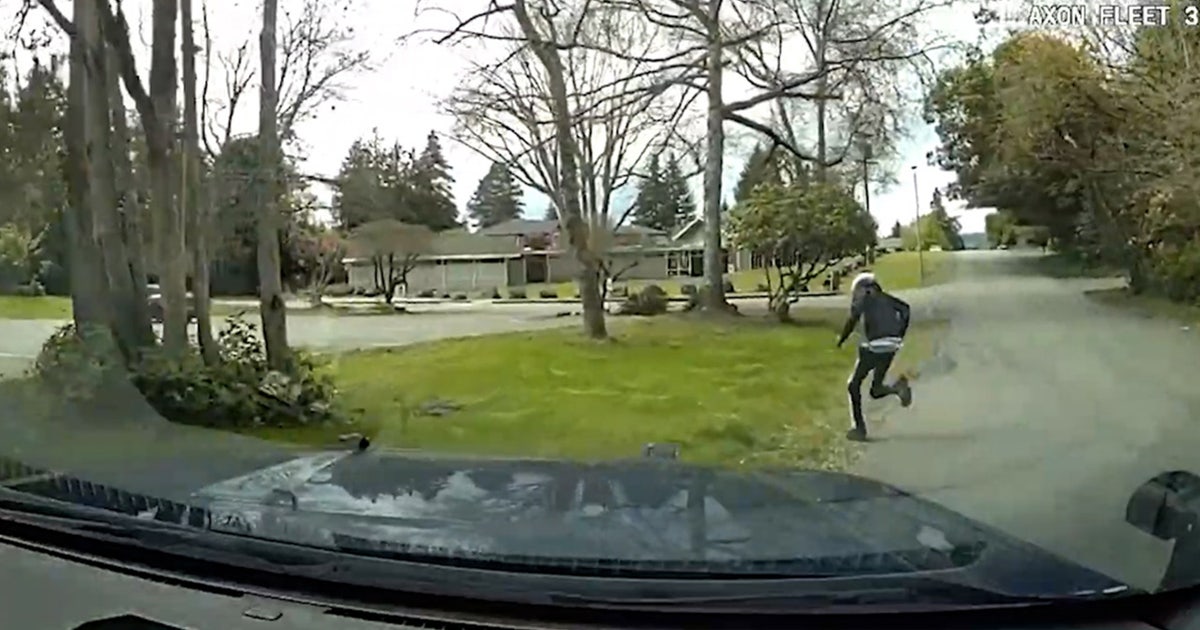 2 arrested after police pursuit ends near Seattle | FOX 13 Seattle