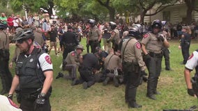 University of Texas Palestine protest leads to almost 60 arrests