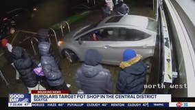 VIDEO: Seattle pot shop burglarized by large group using stolen vehicle