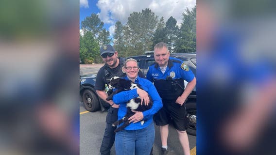 Pygmy goat that went missing from Washington Spring Fair found