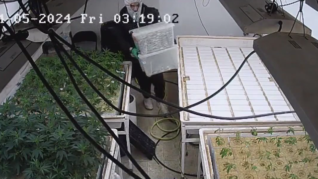 Security guard kidnapped during Tumwater marijuana facility break-in