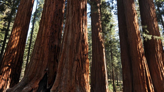 Top US national parks to visit with kids revealed