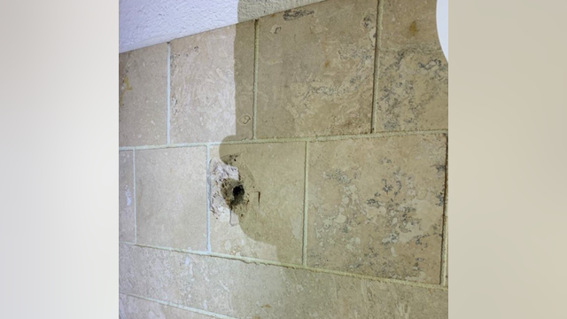 Lacey drive-by shooting: Dog shot, child injured while in bathtub