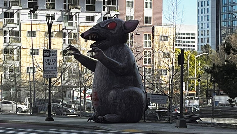 Giant inflatable rat at the corner of Sixth and Borealis in Seattle's Belltown neighborhood.