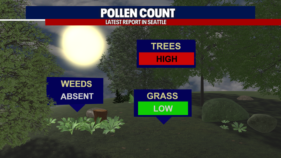 Pollen count for Friday in Seattle.