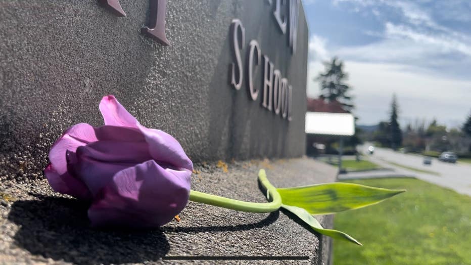 purple rose on sidewalk