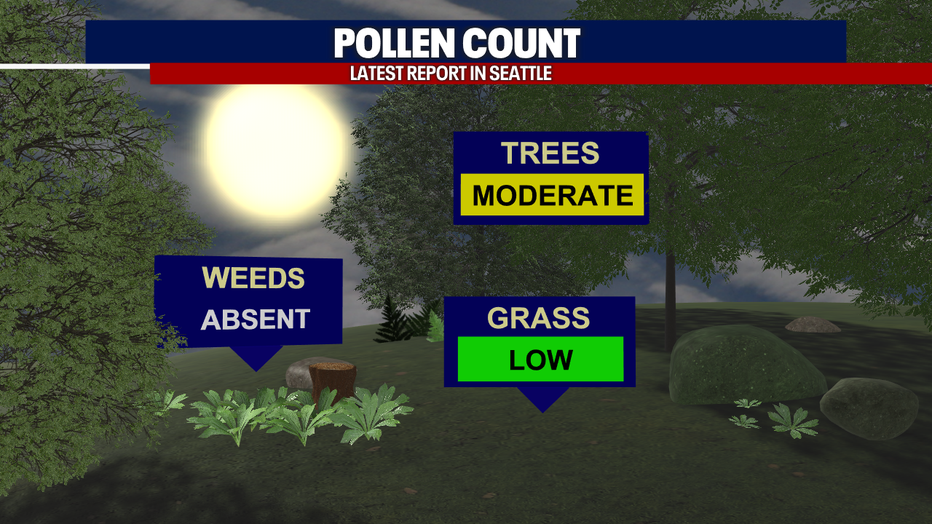 Pollen count for Seattle on Monday.
