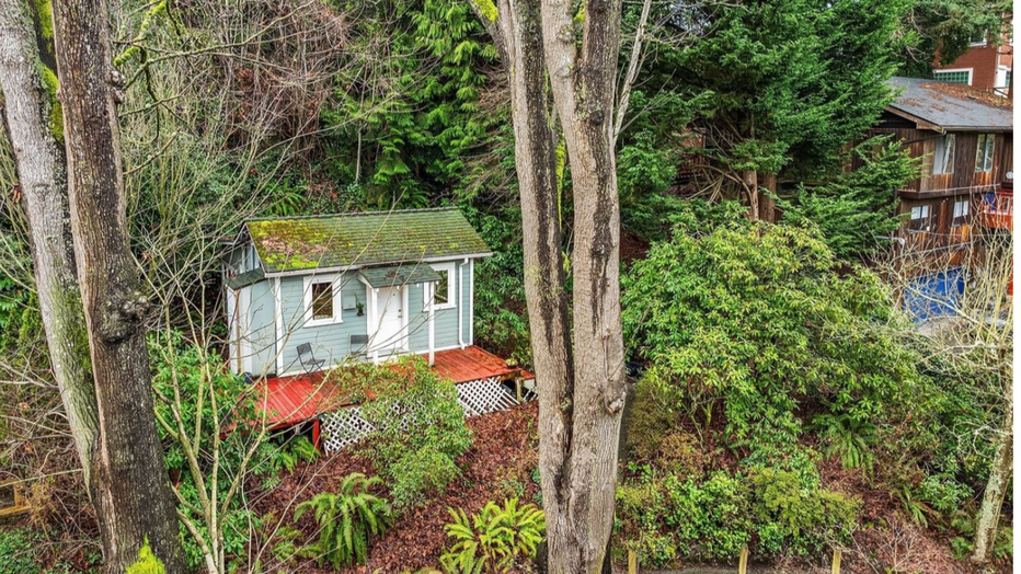 urban cabin surrounded by trees and shrubs