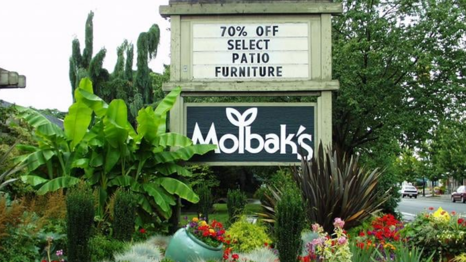 molbak's sign