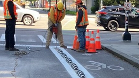 What are the zebra-striped bumps on Seattle roads?