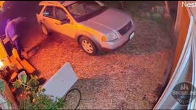 Shoreline police search for arson suspect