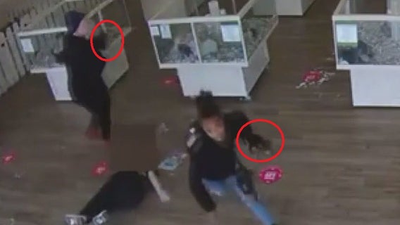 Thieves snatch designer-breed puppies worth $10,000 from Puyallup Puppyland