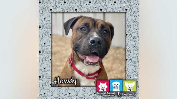 King County encouraging adoption on National Pet Rescue Day