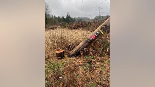 Deputies investigating after transmission lines vandalized in Renton