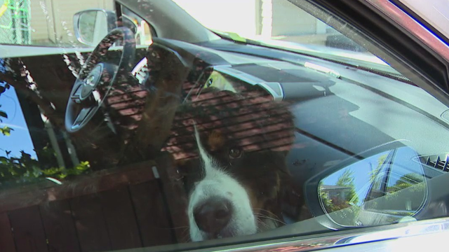 Safety reminders as Seattle has its first 80 degree day of the year