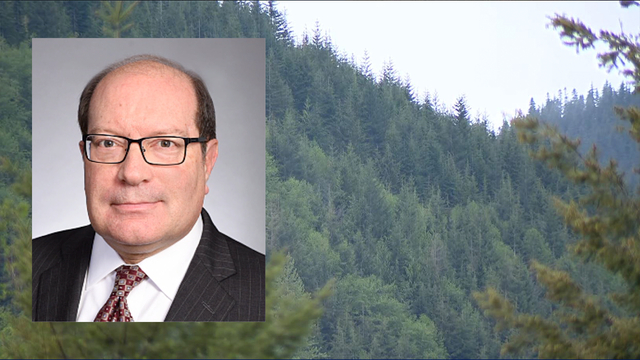 Missing pilot found dead in WA plane crash