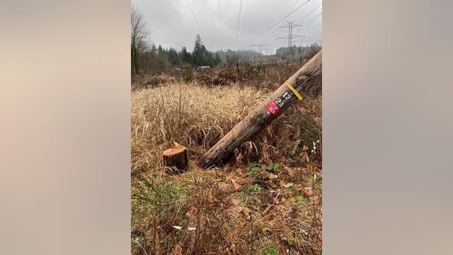 Deputies investigating after transmission lines vandalized in Renton