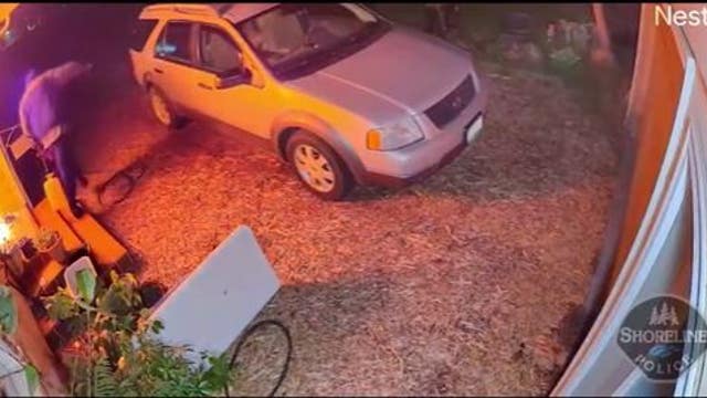 Shoreline police search for arson suspect