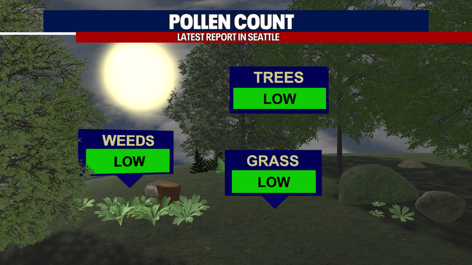 Pollen count forecast for Seattle