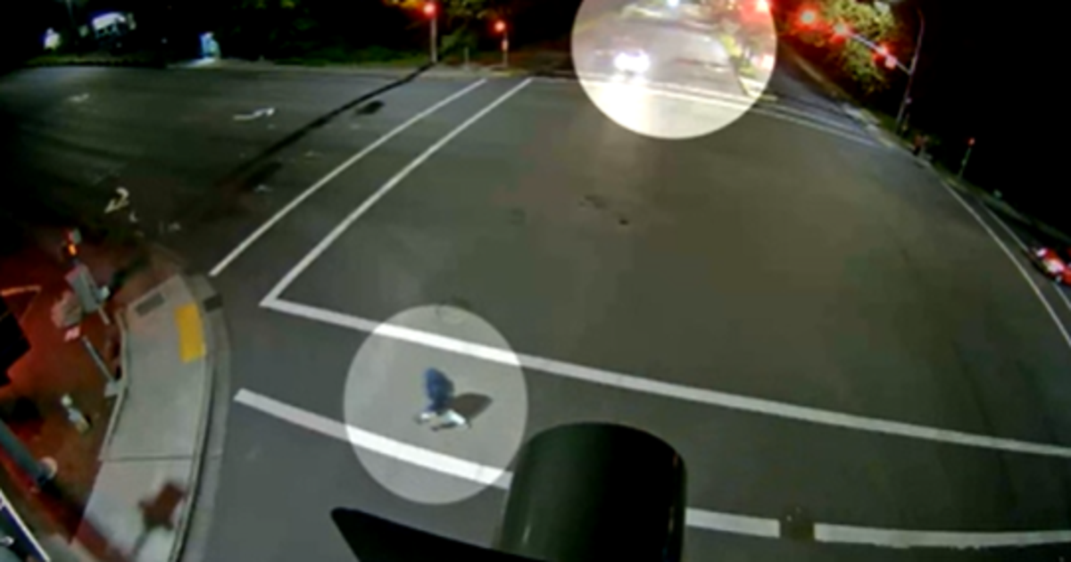 Street racer nearly hits pedestrian, arrested in Bellevue | FOX 13 Seattle