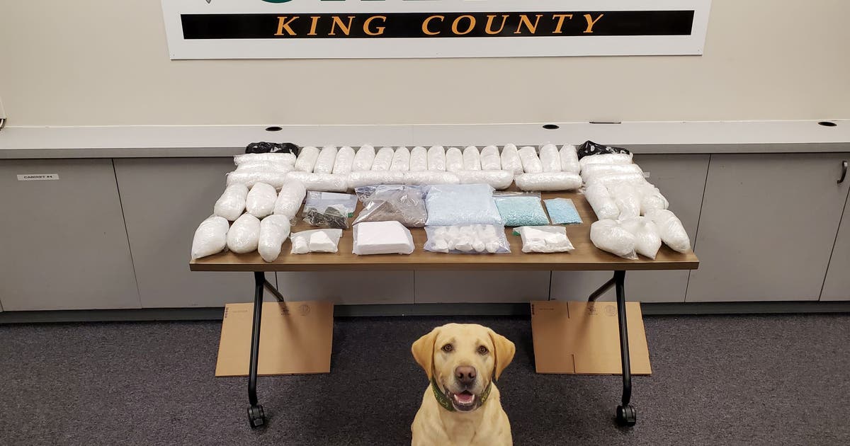 Deputies seize over 40 lbs of narcotics in King County | FOX 13 Seattle