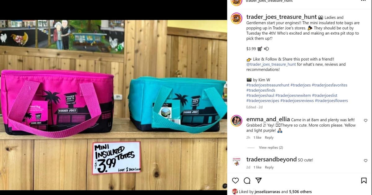 mini-insulated-tote-trader-