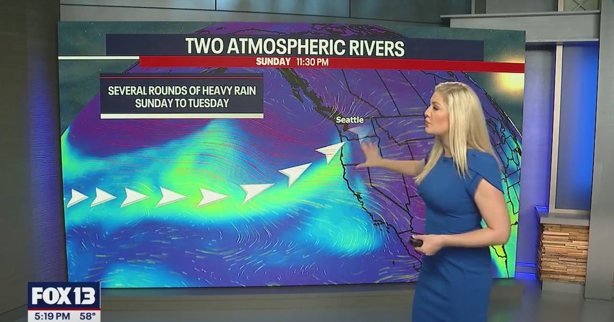 Heavy rain, gusty winds and cool temperatures continue Monday | FOX 13 ...