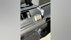 Bomb squad called in after Kent man finds homemade explosive in his house