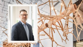 Seattle Art Museum selects Scott Stulen as new director and CEO