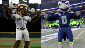 Study finds Seattle Seahawks' Blitz is NFL's most forgettable mascot