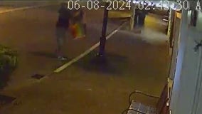 Thief caught on camera stealing, vandalizing pride flags in Burien