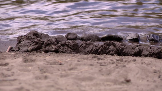 2 arrested in connection to WA man buried in shallow grave