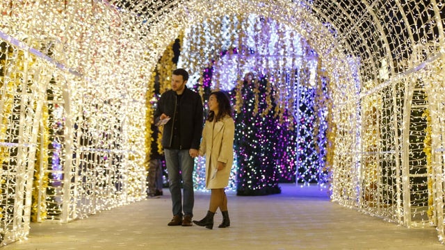 Things to do in Seattle on Christmas Day