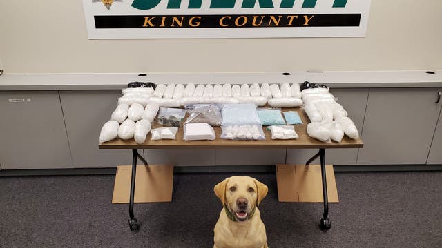 Deputies seize over 40 lbs of narcotics in King County