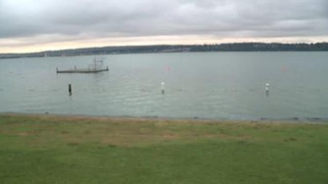 3 Seattle beaches closed due to high bacteria levels