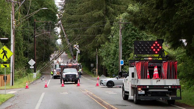 Western Washington windstorm topples trees, causes thousands of outages
