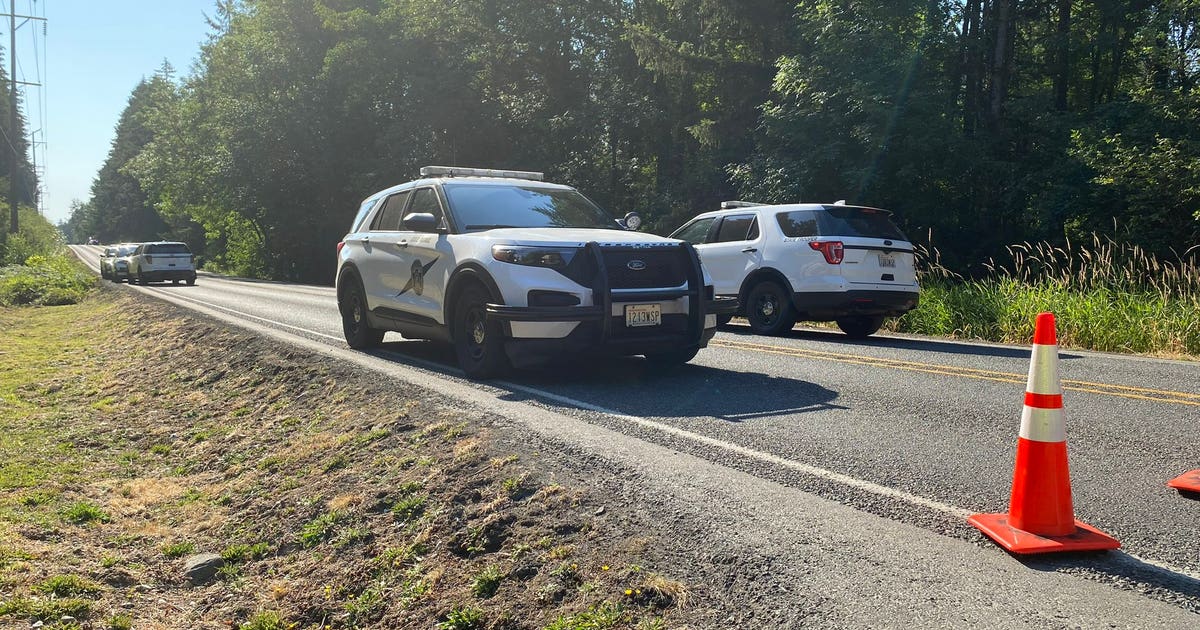 Pedestrian dies after being hit by semi-truck in WA | FOX 13 Seattle