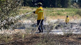 Lacey brush fire likely 'intentionally set'