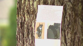 WA police warn of scam targeting ‘missing pet’ posters